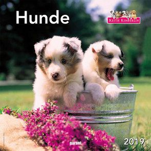 Monatskalender Keith Kimberlin Hunde 2019 von garant Verlag GmbH