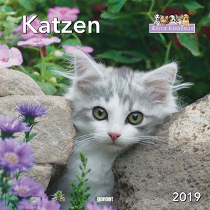 Monatskalender Keith Kimberlin Katzen 2019 von garant Verlag GmbH