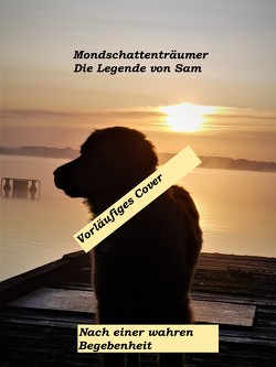 Mondschattenträumer von Arning,  Antje, Jando