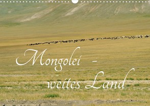 Mongolei – weites Land (Wandkalender 2022 DIN A3 quer) von Winter,  Eike