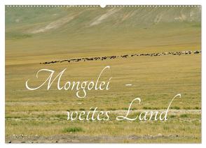 Mongolei – weites Land (Wandkalender 2024 DIN A2 quer), CALVENDO Monatskalender von Winter,  Eike