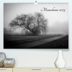 Monochrom 2023 (Premium, hochwertiger DIN A2 Wandkalender 2023, Kunstdruck in Hochglanz) von Pfeiffer,  Alexander