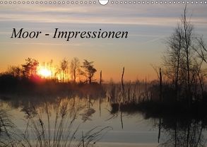 Moor – Impressionen (Wandkalender 2018 DIN A3 quer) von Rehmstedt,  Antje