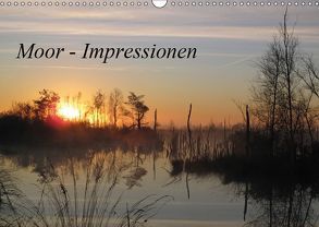 Moor – Impressionen (Wandkalender 2019 DIN A3 quer) von Rehmstedt,  Antje