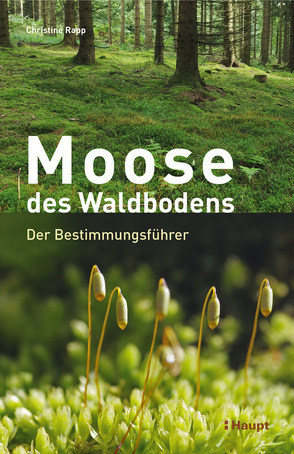 Moose des Waldbodens von Rapp,  Christine