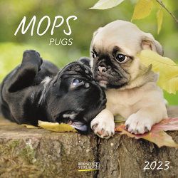 Mops 2023 von Korsch Verlag