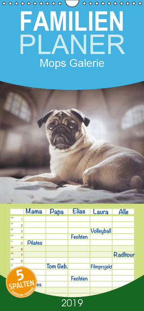 Mops Galerie – Familienplaner hoch (Wandkalender 2019 , 21 cm x 45 cm, hoch) von Galerie,  Mops