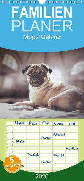 Mops Galerie – Familienplaner hoch (Wandkalender 2020 , 21 cm x 45 cm, hoch) von Galerie,  Mops