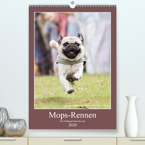 Mops-Rennen (Premium, hochwertiger DIN A2 Wandkalender 2020, Kunstdruck in Hochglanz) von Teßen,  Sonja