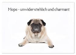 Mops – unwiderstehlich und charmant (Wandkalender 2024 DIN A2 quer), CALVENDO Monatskalender von Verena Scholze,  Fotodesign