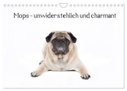 Mops – unwiderstehlich und charmant (Wandkalender 2024 DIN A4 quer), CALVENDO Monatskalender von Verena Scholze,  Fotodesign