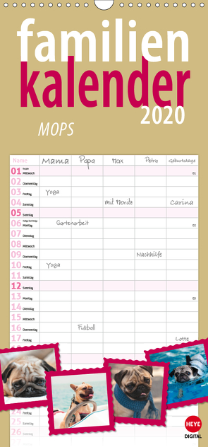 Mops (Wandkalender 2020 , 21 cm x 45 cm, hoch) von Digital,  Heye