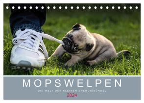 Mopswelpen (Tischkalender 2024 DIN A5 quer), CALVENDO Monatskalender von Dodeck,  Ole
