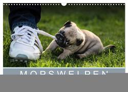 Mopswelpen (Wandkalender 2024 DIN A3 quer), CALVENDO Monatskalender von Dodeck,  Ole