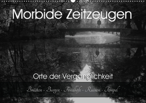 Morbide Zeitzeugen – Orte der Vergänglichkeit (Wandkalender 2021 DIN A2 quer) von Felber / Foto Augenblicke,  Monika