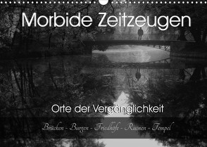 Morbide Zeitzeugen – Orte der Vergänglichkeit (Wandkalender 2022 DIN A3 quer) von Felber / Foto Augenblicke,  Monika