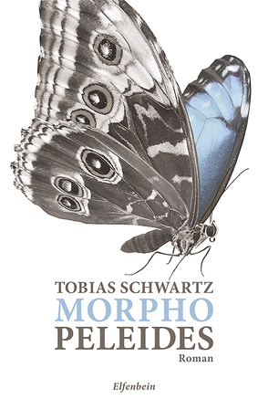 Morpho peleides von Schwartz,  Tobias