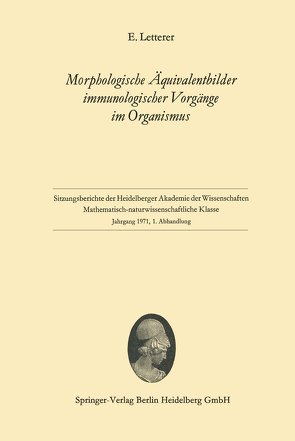 Morphologische Äquivalentbilder immunologischer Vorgänge im Organismus von Letterer,  Erich