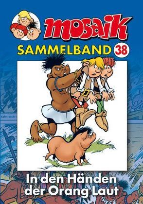 MOSAIK Sammelband 038 Softcover von Mosaik Team, Schleiter,  Klaus D