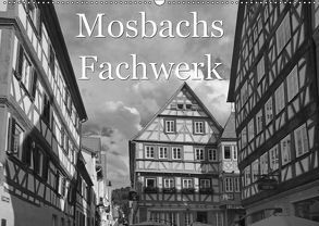 Mosbachs Fachwerk (Wandkalender 2019 DIN A2 quer) von Flori0