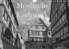 Mosbachs Fachwerk (Wandkalender 2019 DIN A4 quer) von Flori0