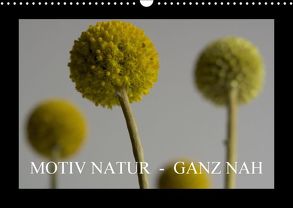 Motiv Natur – Ganz nah (Wandkalender 2018 DIN A3 quer) von b.rit,  by