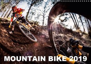 Mountain Bike 2019 by Stef. Candé (Wandkalender 2019 DIN A3 quer) von Candé,  Stef.