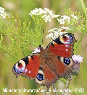 Münsterschwarzacher Bildkalender 2023