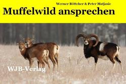 Muffelwild ansprechen von Böttcher,  Werner, Matjasic,  Peter