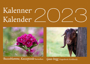 Mundartkalender 2023 von Dotterweich,  Peter