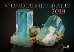 MUNDUS MINERALIS 2019 von Neubert,  Jörg