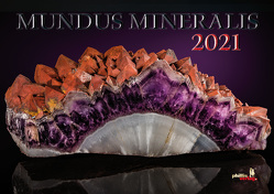 MUNDUS MINERALIS 2021 von Neubert,  Jörg