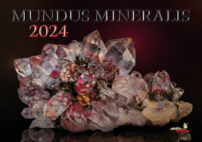 MUNDUS MINERALIS 2024 von Neubert,  Jörg