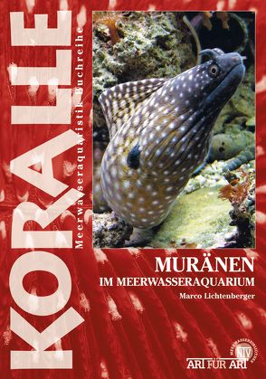 Muränen im Meerwasseraquarium von Lichtenberger,  Marko