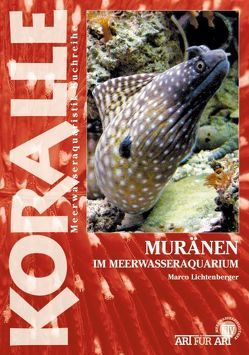 Muränen im Meerwasseraquarium von Lichtenberger,  Marco