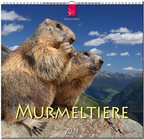 Murmeltiere von Gebert,  Martina