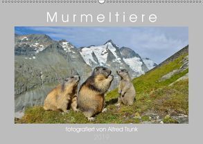 MurmeltiereAT-Version (Wandkalender 2019 DIN A2 quer) von Trunk,  Alfred