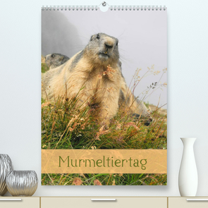 Murmeltiertag (Premium, hochwertiger DIN A2 Wandkalender 2023, Kunstdruck in Hochglanz) von Pons,  Andrea