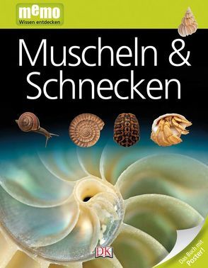 memo Wissen entdecken. Muscheln & Schnecken