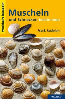 Muscheln und Schnecken bestimmen von Rudolph,  Frank