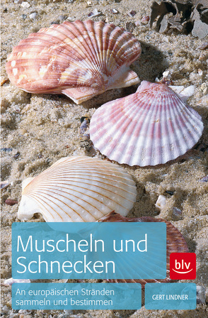 Muscheln und Schnecken von Lindner,  Gert