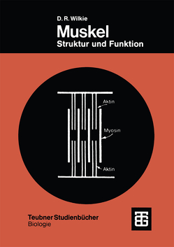 Muskel von Wilkie,  Douglas Robert