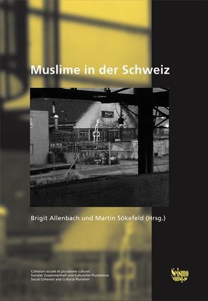 Muslime in der Schweiz von Allenbach,  Brigit, Sökefeld,  Martin