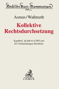 Kollektive Rechtsdurchsetzung von Asmus,  Thomas, Beckmann,  Martin J., Dörfler,  Roman, Hirsch,  Günter, Kähler,  Lorenz, Rathmann,  Jens, Rummel,  Alexander von, Scherber,  Nina, Siegmann,  Matthias, Waßmuth,  Guido, Zypries,  Brigitte