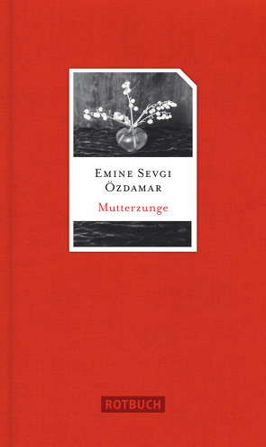 Mutterzunge von Özdamar,  Emine Sevgi