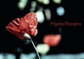 Mystic Flowers (Posterbuch DIN A2 quer) von Ott,  Anja