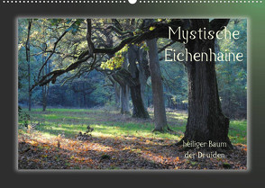 Mystische Eichenhaine (Wandkalender 2022 DIN A2 quer) von Hubner,  Katharina