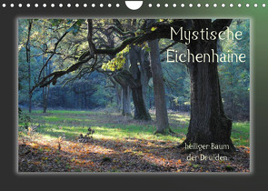 Mystische Eichenhaine (Wandkalender 2022 DIN A4 quer) von Hubner,  Katharina