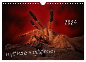 Mystische Vogelspinnen (Wandkalender 2024 DIN A4 quer), CALVENDO Monatskalender von Baderschneider,  Horst