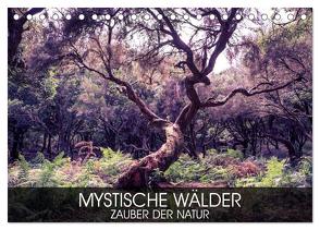 Mystische Wälder – Zauber der Natur (Tischkalender 2024 DIN A5 quer), CALVENDO Monatskalender von Thoermer,  Val